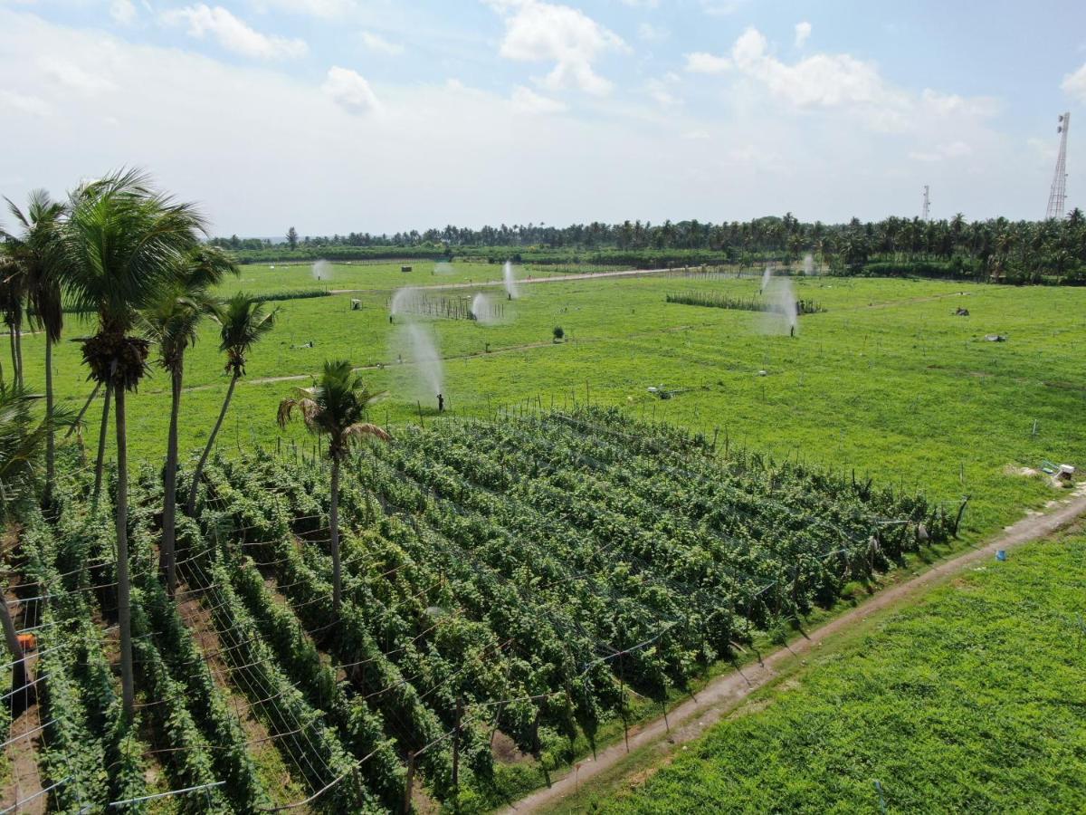 Thoddoo Island Life Hotel Bagian luar foto